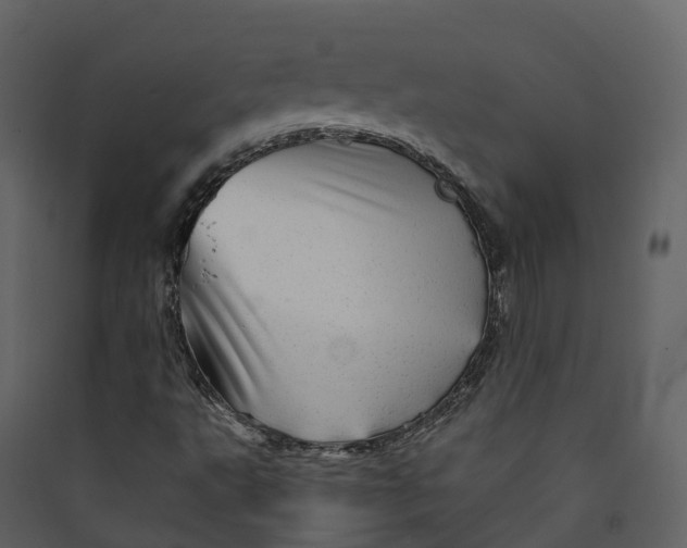 X0000089941495200707131442