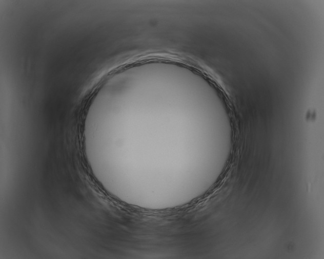 X0000089941496200707131442