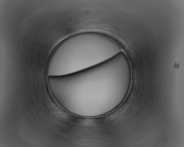 X0000089941497200707131442