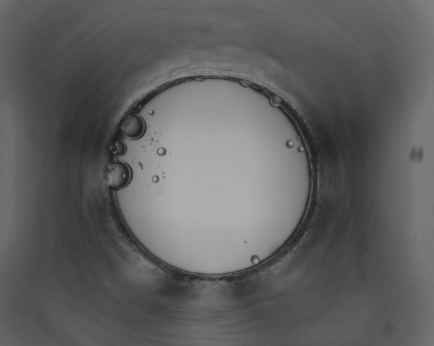 X0000089941498200707131442