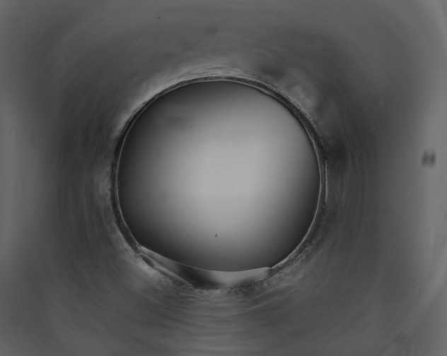 X0000089941500200707131442