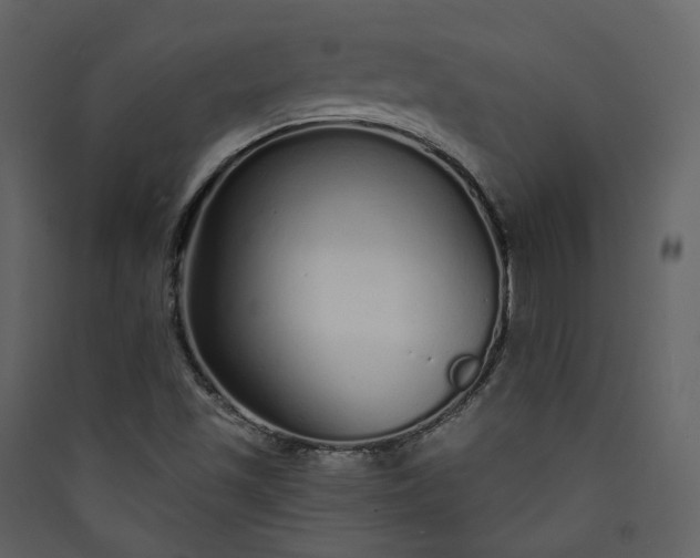 X0000089941501200707131442