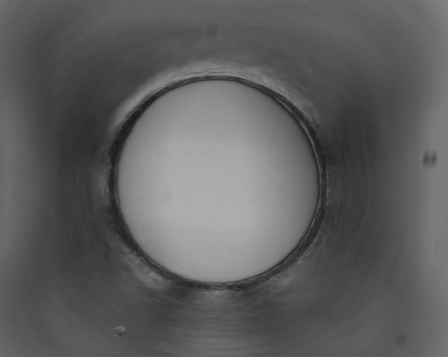 X0000089941502200707131442