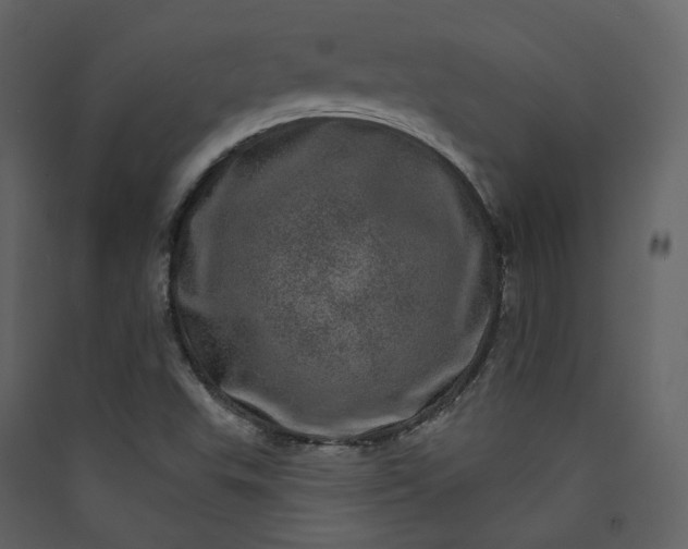 X0000089941503200707131442