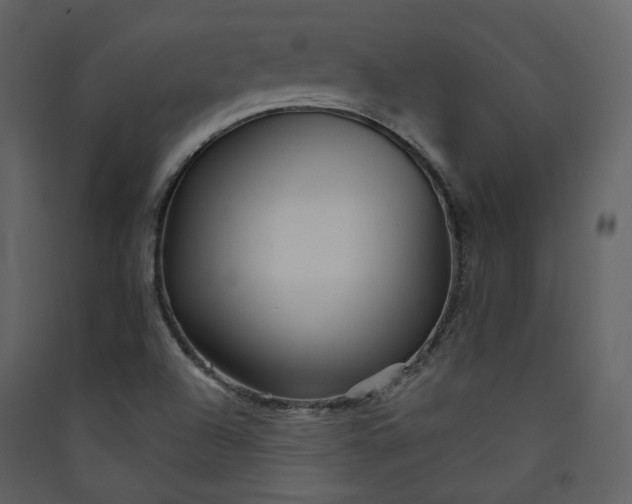 X0000089941504200707131442