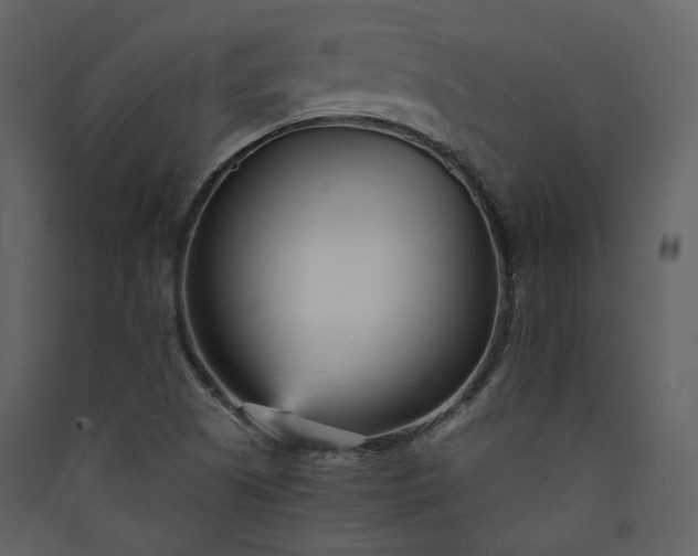 X0000089941505200707131442