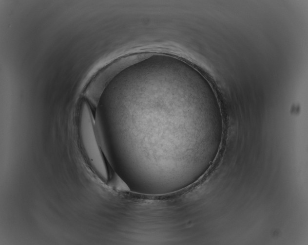 X0000089941506200707131442