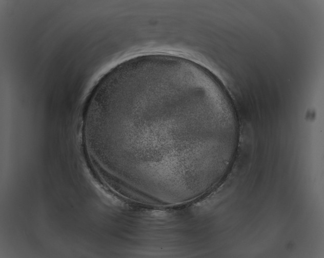 X0000089941507200707131442