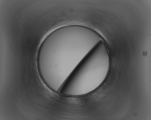 X0000089941508200707131442