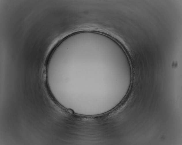 X0000089941509200707131442