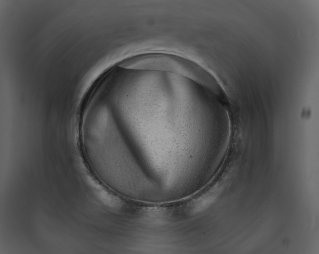 X0000089941511200707131442