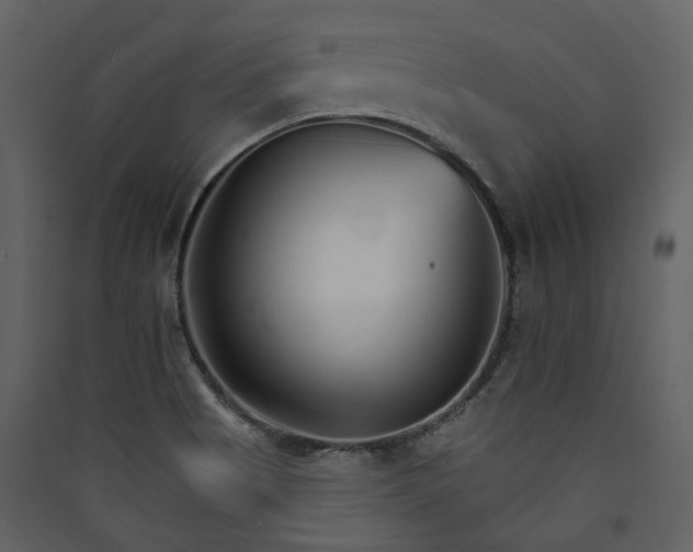 X0000089941513200707131442