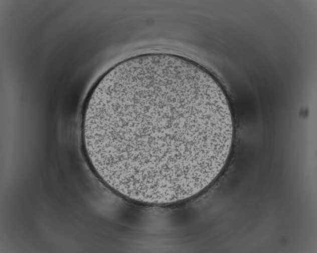 X0000089941514200707131442