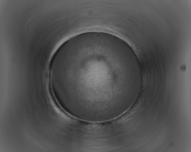 X0000089941515200707131442