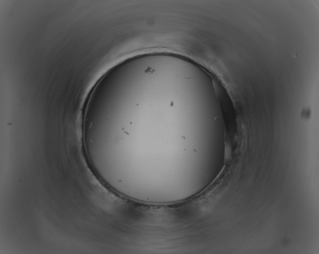 X0000089941516200707131442