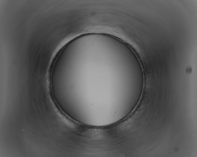 X0000089941517200707131442