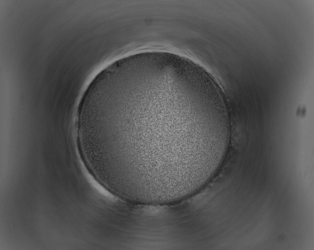 X0000089941519200707131442