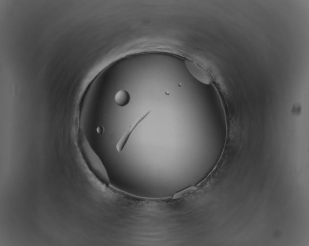 X0000089941520200707131442