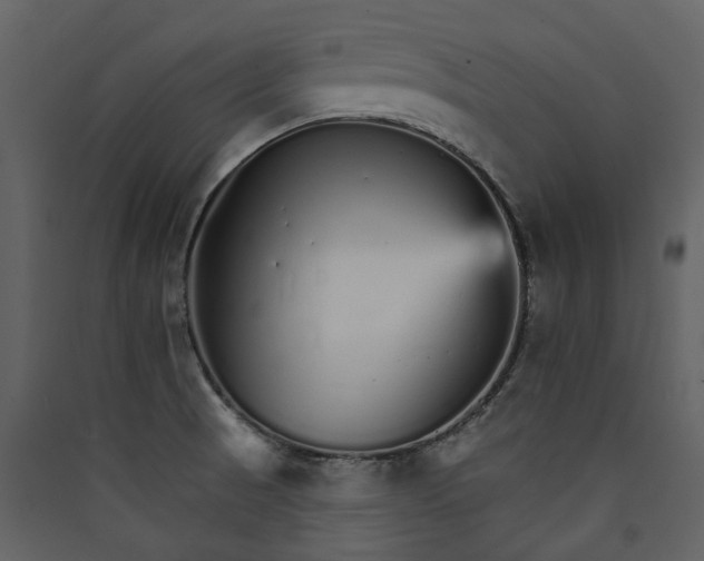 X0000089941521200707131442