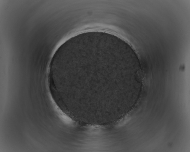 X0000089941522200707131442