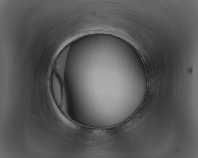 X0000089941523200707131442