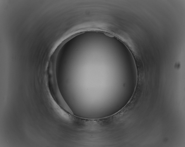 X0000089941524200707131442