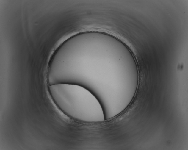 X0000089941525200707131442