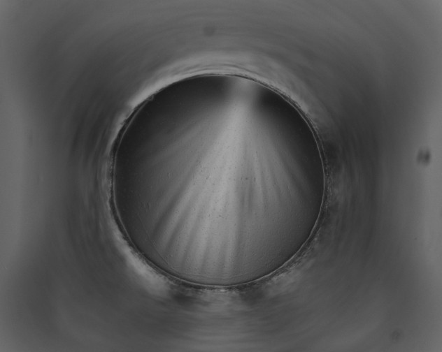 X0000089941526200707131442