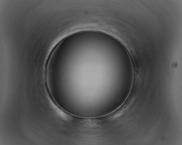 X0000089941527200707131442