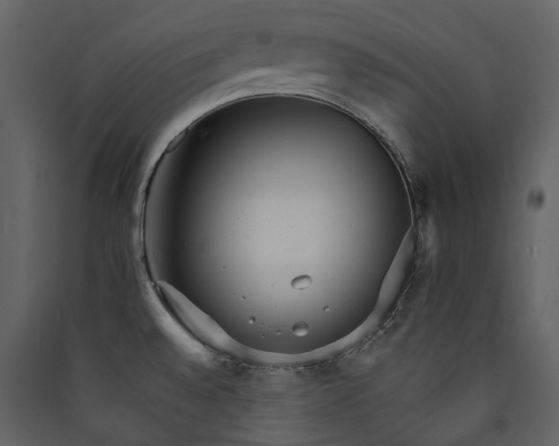 X0000089941528200707131442