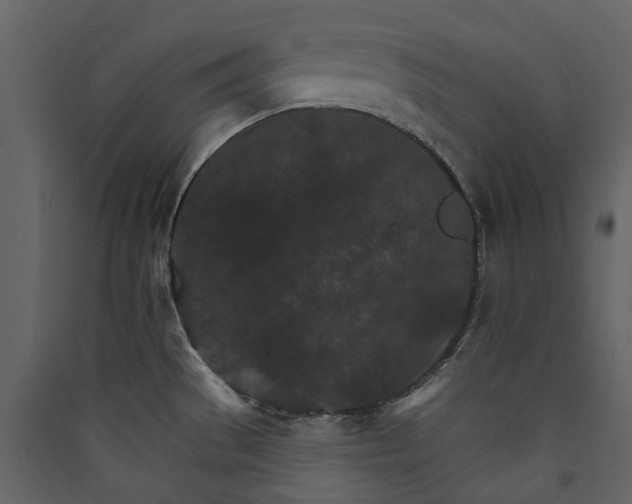 X0000089941529200707131442