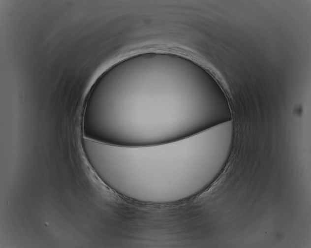 X0000089941530200707131442