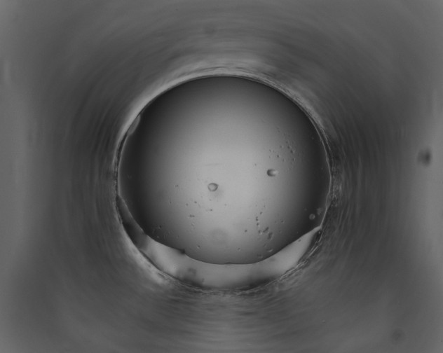 X0000089941532200707131442