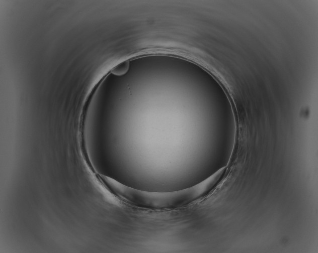 X0000089941533200707131442