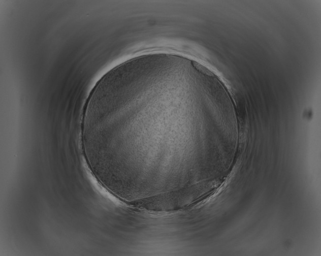 X0000089941534200707131442