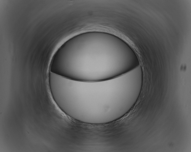 X0000089941536200707131443