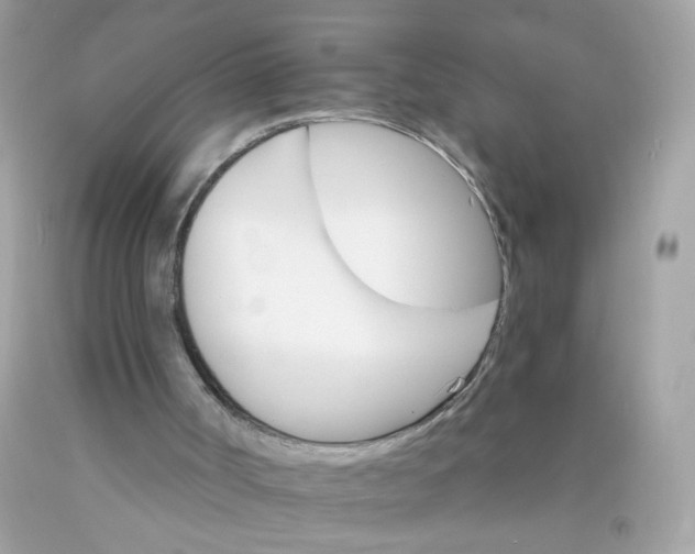 X0000089940002200707201913