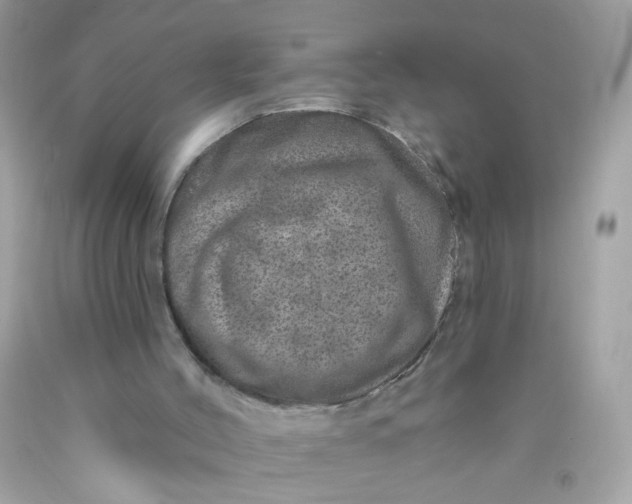 X0000089940004200707201913