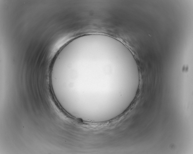 X0000089940005200707201913