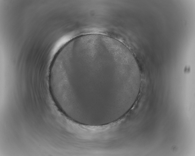 X0000089940006200707201913