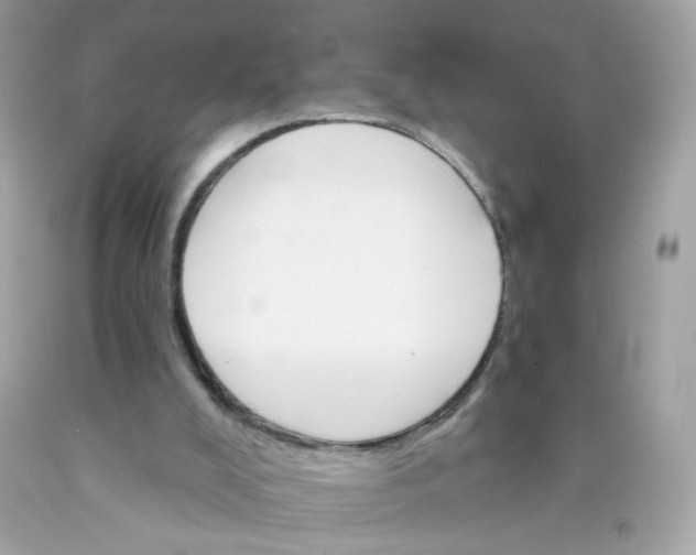 X0000089940008200707201913