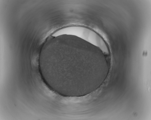X0000089940009200707201913