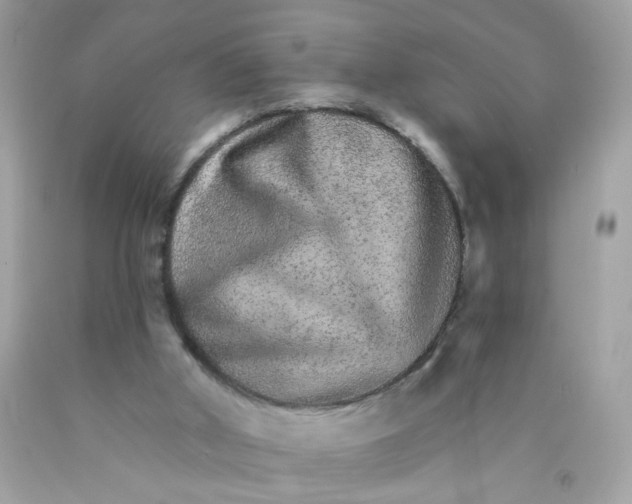 X0000089940010200707201913