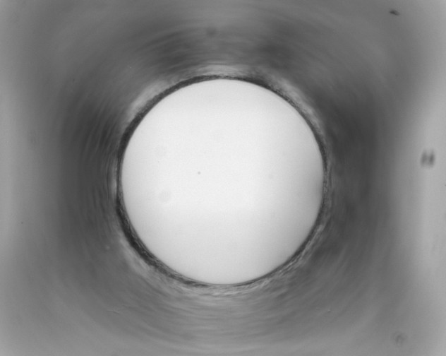 X0000089940011200707201913