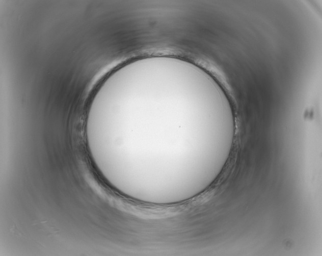 X0000089940012200707201913