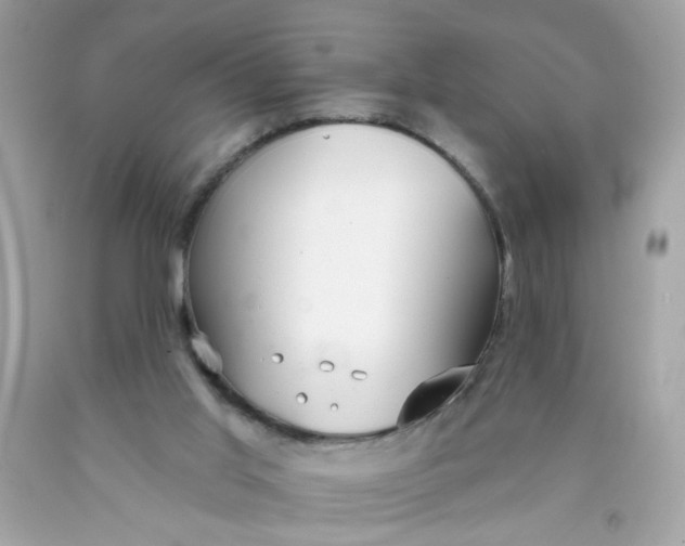 X0000089940013200707201913