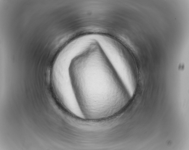 X0000089940014200707201913