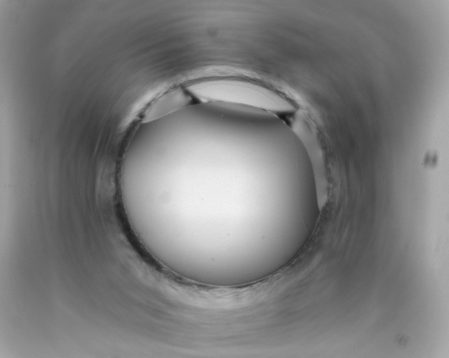 X0000089940015200707201913