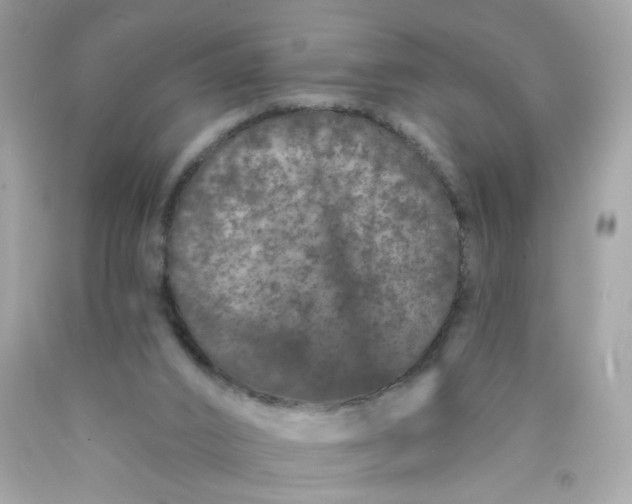 X0000089940016200707201913