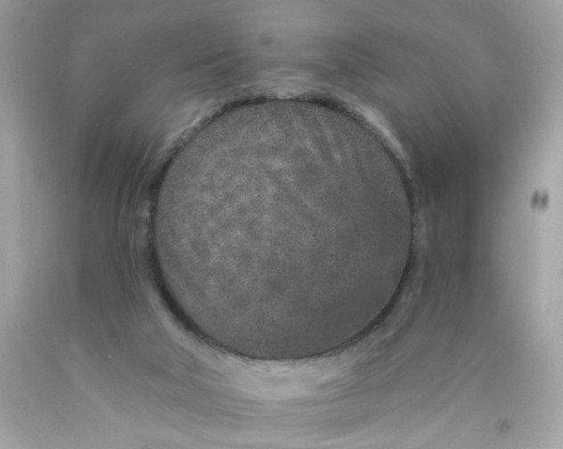 X0000089940018200707201913